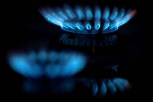 В России предложили запустить «газовую ипотеку»