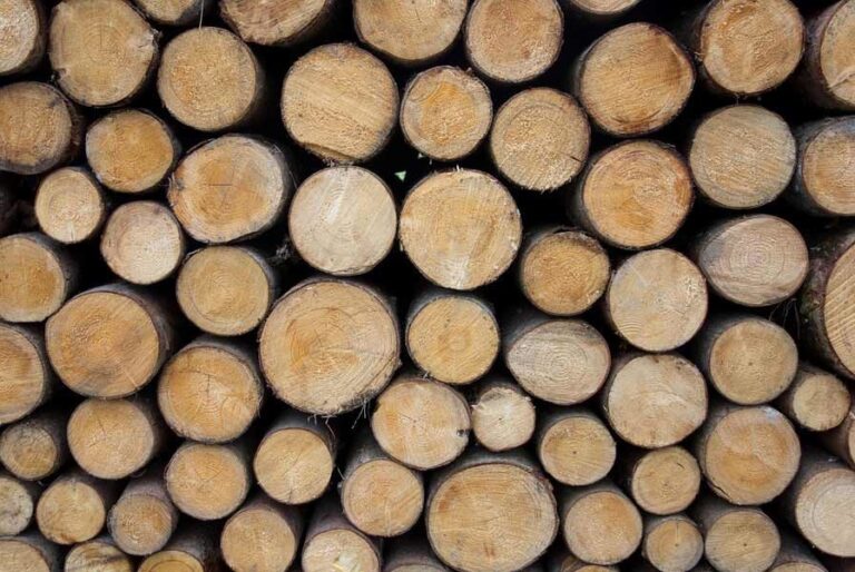 Руководство по дубовым дровам - виды, тепло, дым, запах