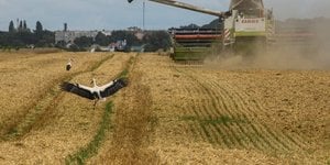 Новим власником AgroGeneration стане українська компанія Novaagro (Фото:REUTERS/Viacheslav Musiienko)