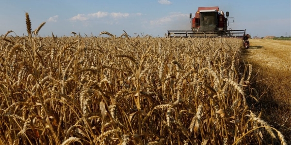 Росія погрожує зірвати зернову угоду (Фото:REUTERS/Alexander Ermochenko)
