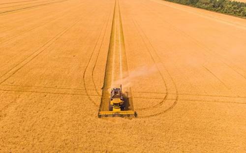 П’ять країн ЄС хочуть продовжити заборону на імпорт зерна з України. У МЗС відреагували