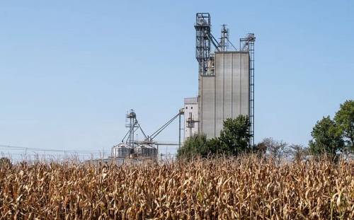 Україна запропонувала Туреччині відновити зерновий коридор без РФ
