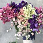 Розкриття секретів купівлі квітів оптом