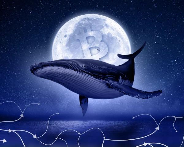 «Розумний» кит заробив $3,5 млн на PEPE і закупився альткоїнами – ForkLog UA