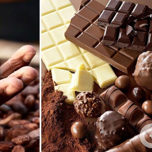 Любителі солодощів б’ють на сполох: шоколад у світі стає “золотим”