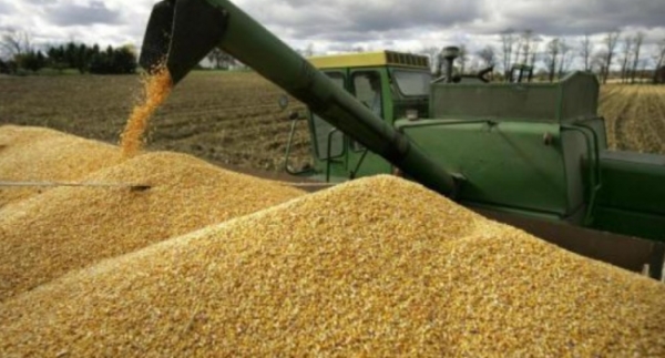 Ціни на агропродукцію в Україні: аграрії дали прогноз
