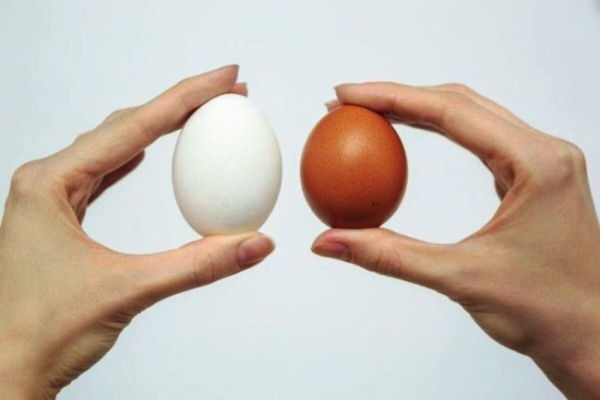 В Україні стався черговий обвал цін на яйця