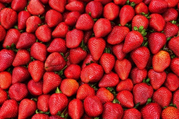 В Україні стався обвал цін на полуницю