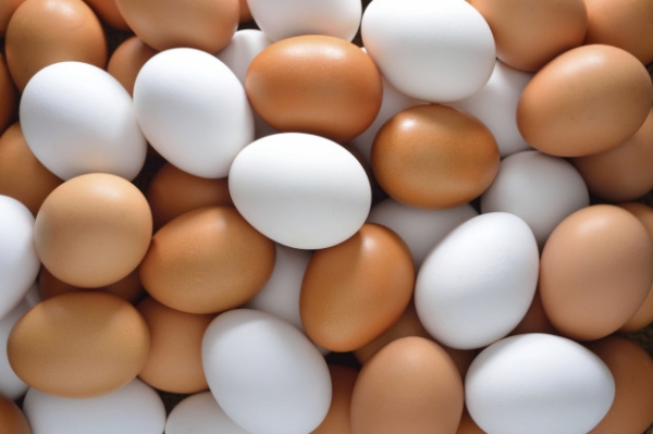 В Україні стався черговий обвал цін на яйця