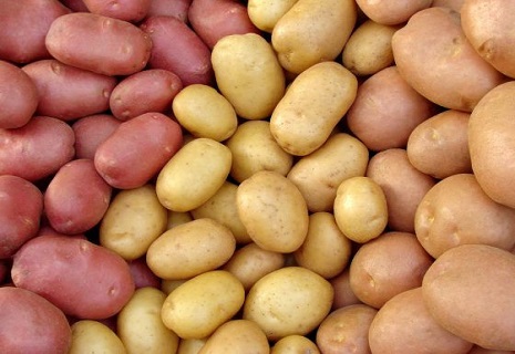 Молода картопля падає в ціні