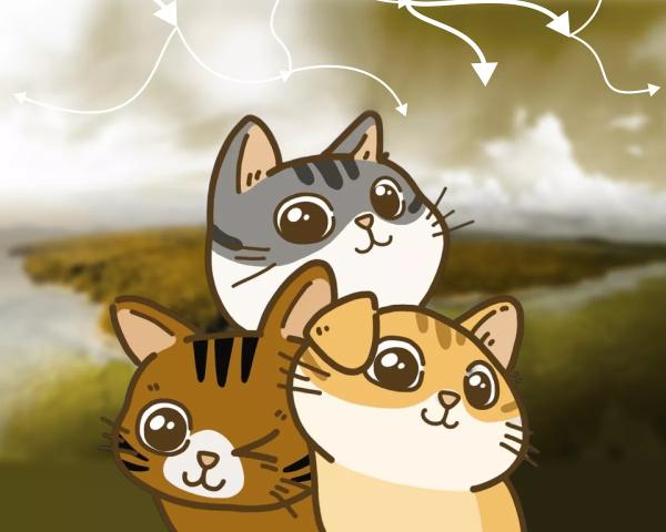 Павло Дуров повідомив про порятунок кішок розробниками Catizen – ForkLog UA