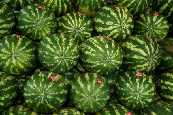 3827_watermelons-4604726_1920.jpg (81.94 Kb)