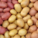 Коли українці дочекаються здешевлення овочів