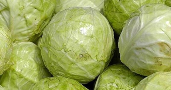 9169_800x420.jpg (39.96 Kb)