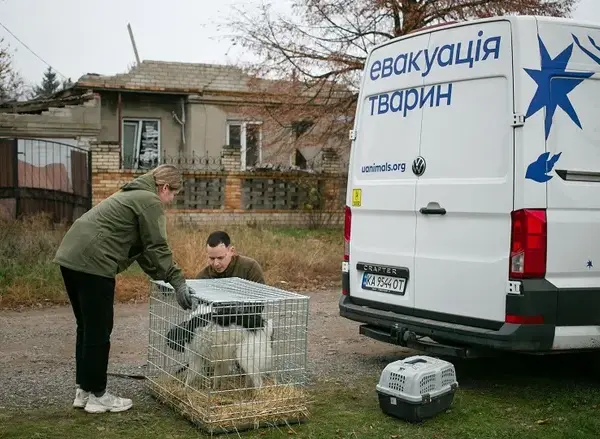 Для тварин з прифронтових районів зібрали 2 млн…