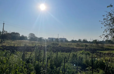 Компанія зі статутним капіталом в 1 тис. грн…