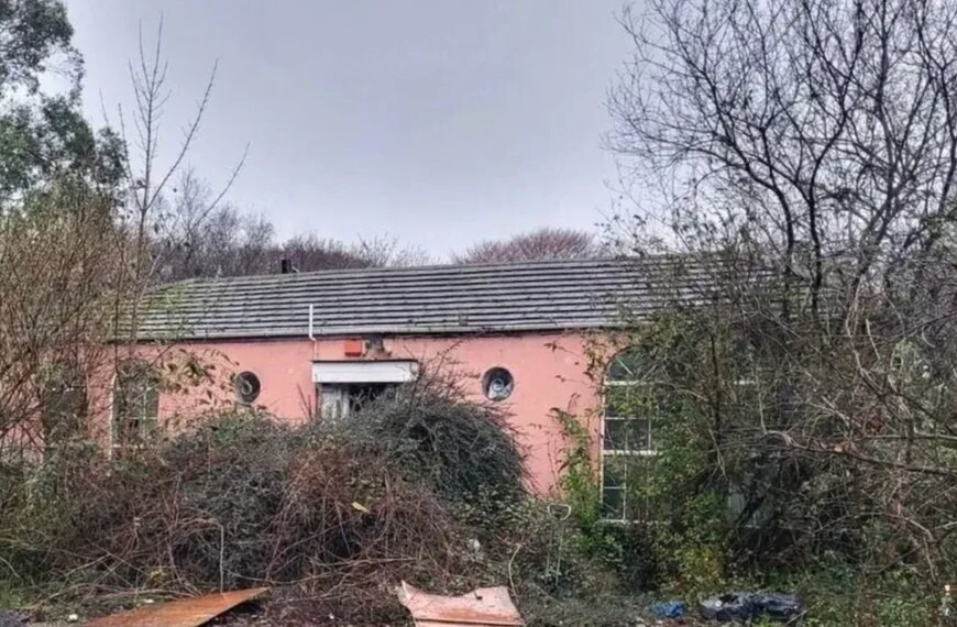 Придбання дому всліпу: непередбачувана знахідка трансформувала життя пари