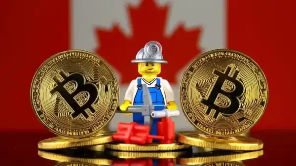 Хакер влаштував майнінгову ферму з університетської комп'ютерної мережі