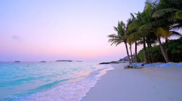 Компанія Трампа токенізує доходи курорту, що будується на…