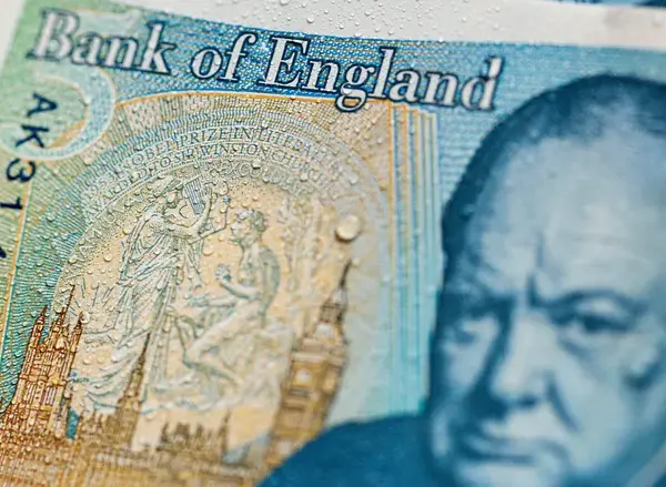 На фунтах стерлінгів замість історичних постатей з’являться тварини