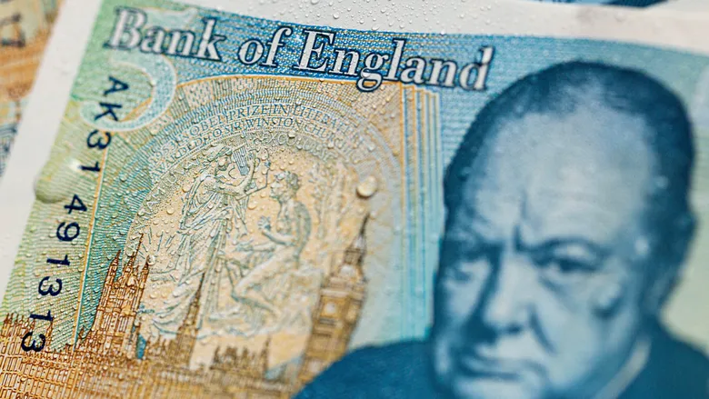 На фунтах стерлінгів замість історичних постатей з’являться тварини