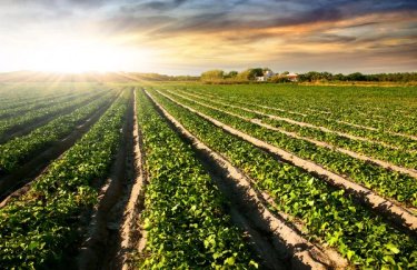 Надходження від плати за землю зросли на 12%: статистика за два місяці