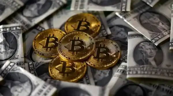 Кіт продав 1000 біткоїнів на $71,6 млн –…