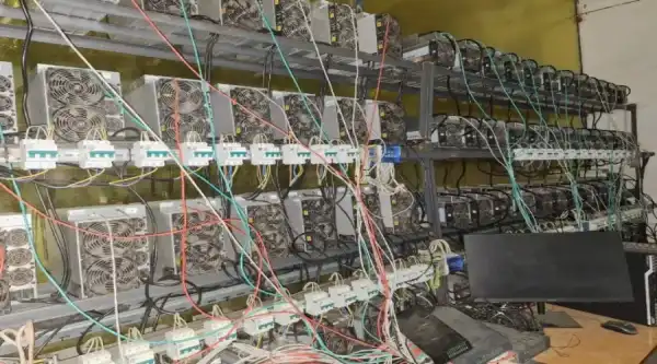 У Ярославській області виявили дві нелегальні майнінгові ферми