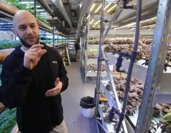 Інженер із Києва створив у багатоповерхівці інноваційну ферму&hellip;