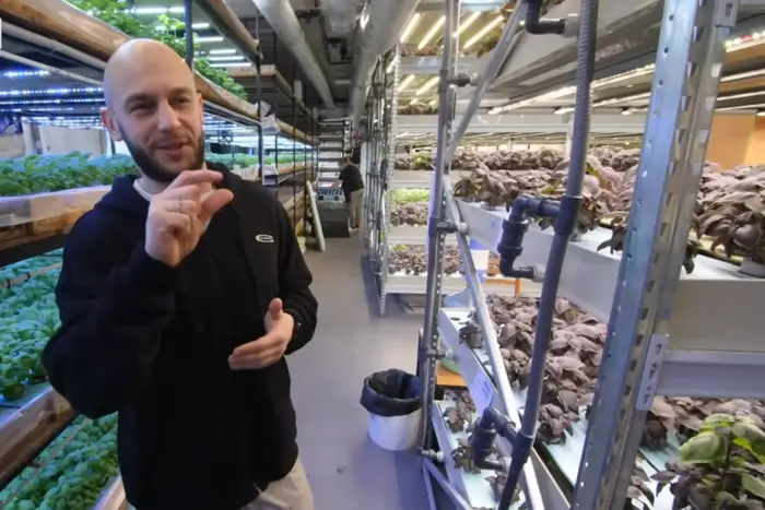 Інженер із Києва створив у багатоповерхівці інноваційну ферму без ґрунту