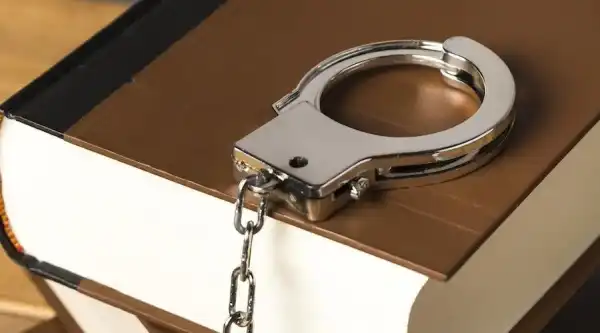 Жену директора криптокомпании пытались похитить подростки