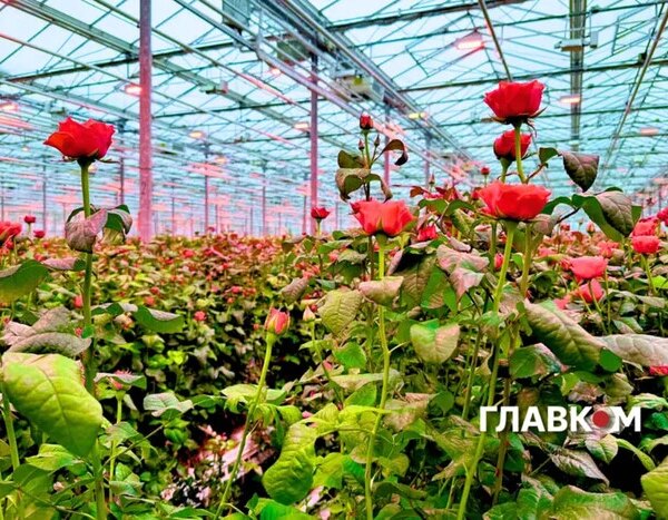 «Військові формують попит». Виробники та продавці розказали, як&hellip;