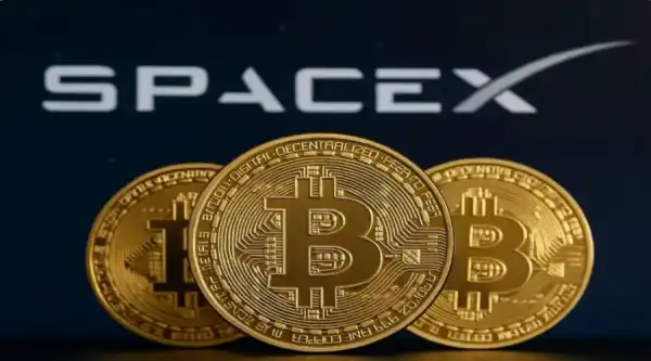 Компанія SpaceX Ілона Маска розкрила обсяг біткоін-резервів