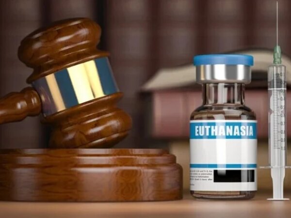 Французький парламент затвердив закон про евтаназію: що чекає на пацієнтів — Мінфін