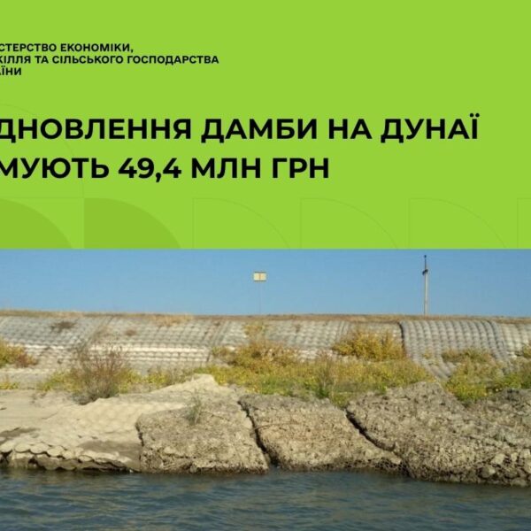 Уряд виділив 49,4 млн грн на аварійне відновлення захисної дамби на Дунаї