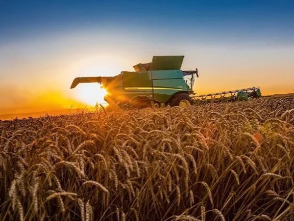 Сільське господарство в мінусі: виробництво знизилося на 1,6% — Мінфін