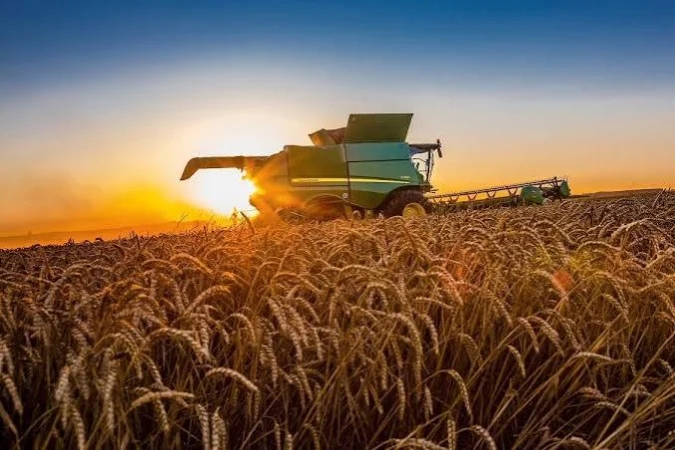 Обсяг виробництва сільськогосподарської продукції в Україні у січні-червні 2026 року зменшився на 1,6% порівняно з аналогічним періодом 2025 року, тоді як за підсумками п’яти місяців зростання становило 1,4%, повідомила Державна служба статистики (Держстат).►