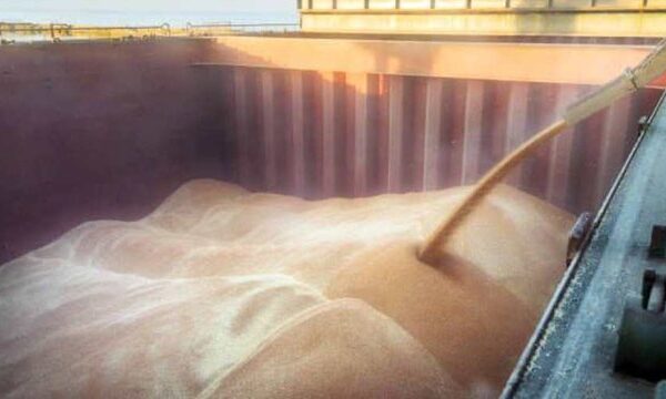 Аграрії намолотили майже 10,6 млн тонн зернових та зернобобових культур нового врожаю з 22% площ