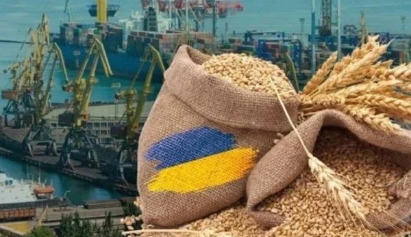 Зупинка портів б’є не лише по зерну, а є загрозою для всієї економіки — Ірина Коссе — Мінфін