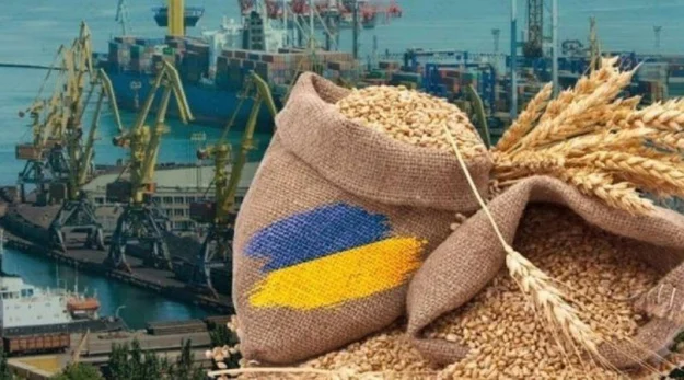 Зупинка роботи морських портів через російські атаки загрожує не лише експорту зерна, а й імпорту пального, добрив і сировини для української промисловості.