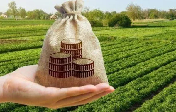 Податкова назвала регіони, де найбільше платять за землю — Мінфін
