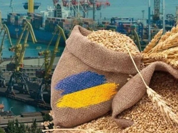 Зерновий експорт під загрозою: судновласники масово відмовляються від українських портів — Мінфін