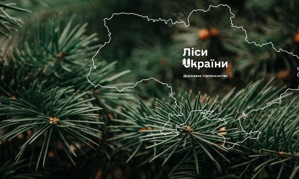 “Телент Едвайзорс” перемагає в конкурсі на рекрутера з пошуку гендиректора ДП “Ліси України”