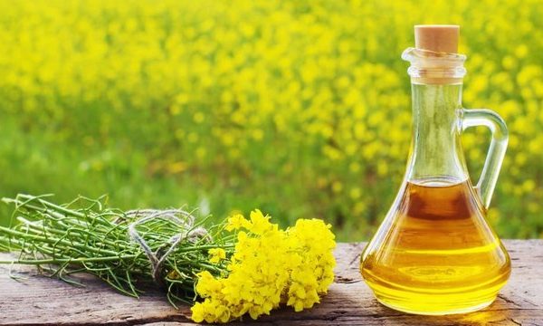 Україна наростила експорт ріпакової олії у 2025/26МР у 2,5 рази – “Укроліяпром”