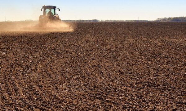 Уряд планує запровадити компенсації аграріям за втрачені та пошкоджені посіви через бойові дії