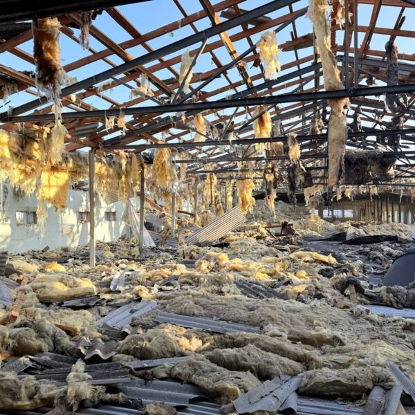 Російська атака знищила пташник ТОВ “Щасливе курча” із понад 20 тис. голів птиці