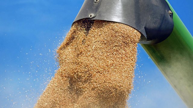 Уряд готує фінансові та логістичні рішення для підтримки аграріїв – Мінагрополітики
