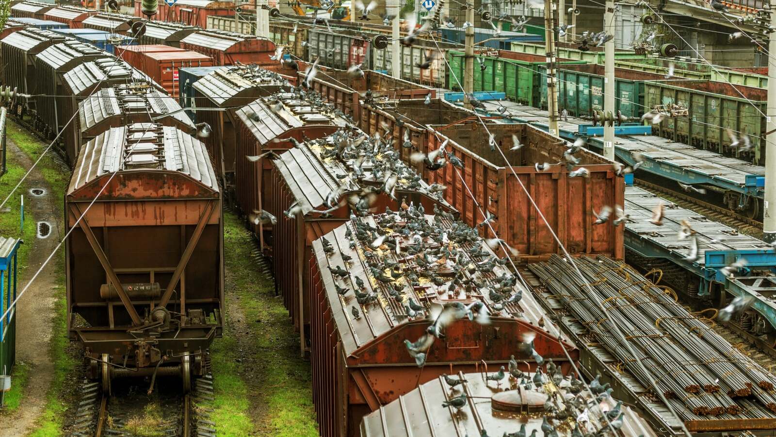 Україна та Молдова домовилися про 50% зниження тарифу на транзитні залізничні перевезення українських вантажів.