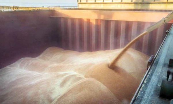 Кабмін скоригував мінімально допустимі експортні ціни на окремі види агропродукції