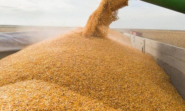 Програму 5-7-9% розширено на аграріїв для поповнення ними обігових коштів – Корецький
